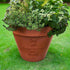 Father's Day Personalised Plant Pot